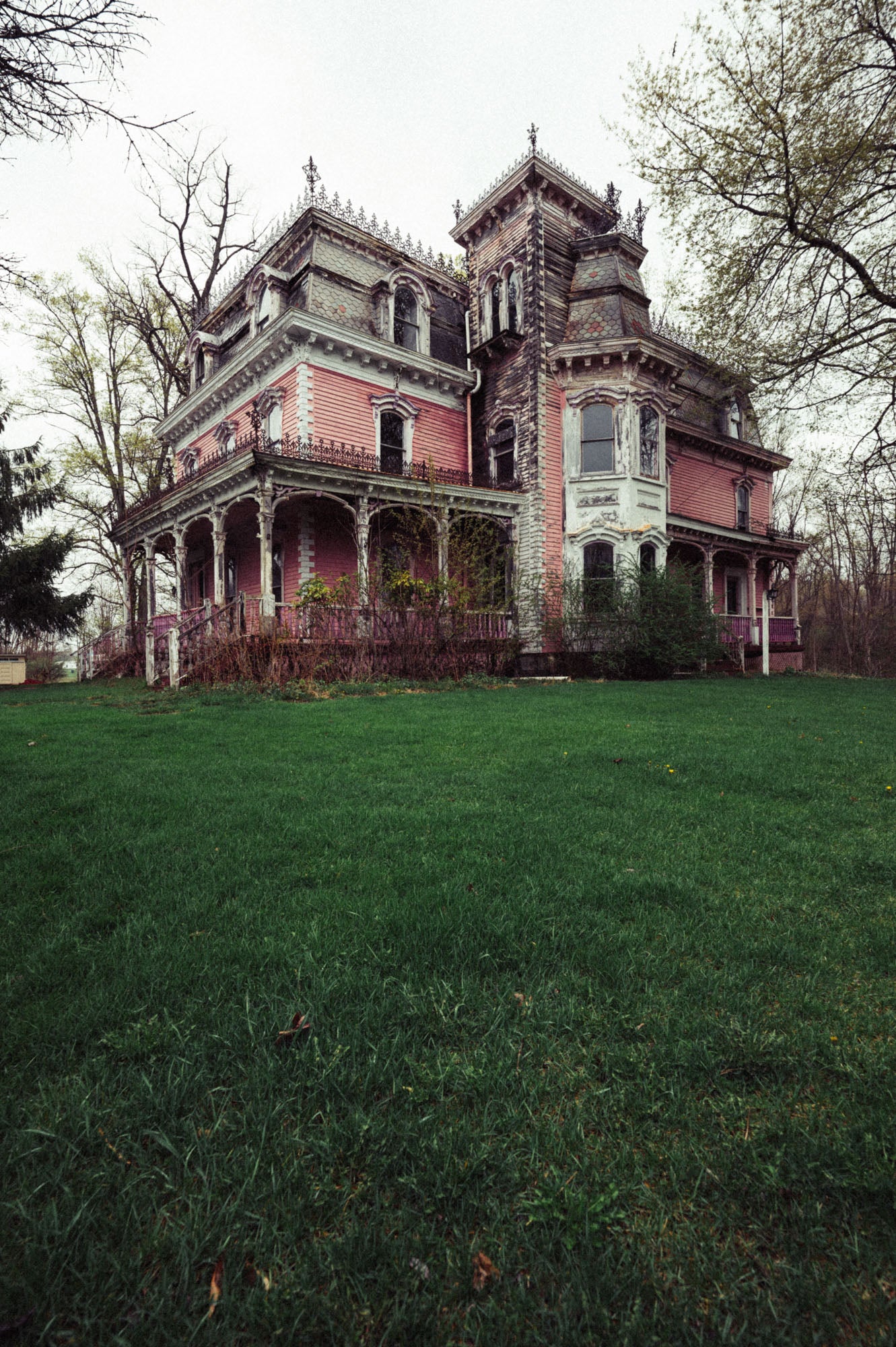 The Pink House