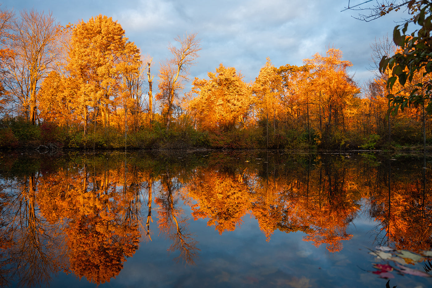 Skok Meadow Sunrise