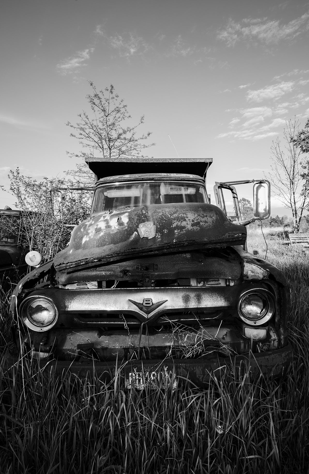 Ford in a Field