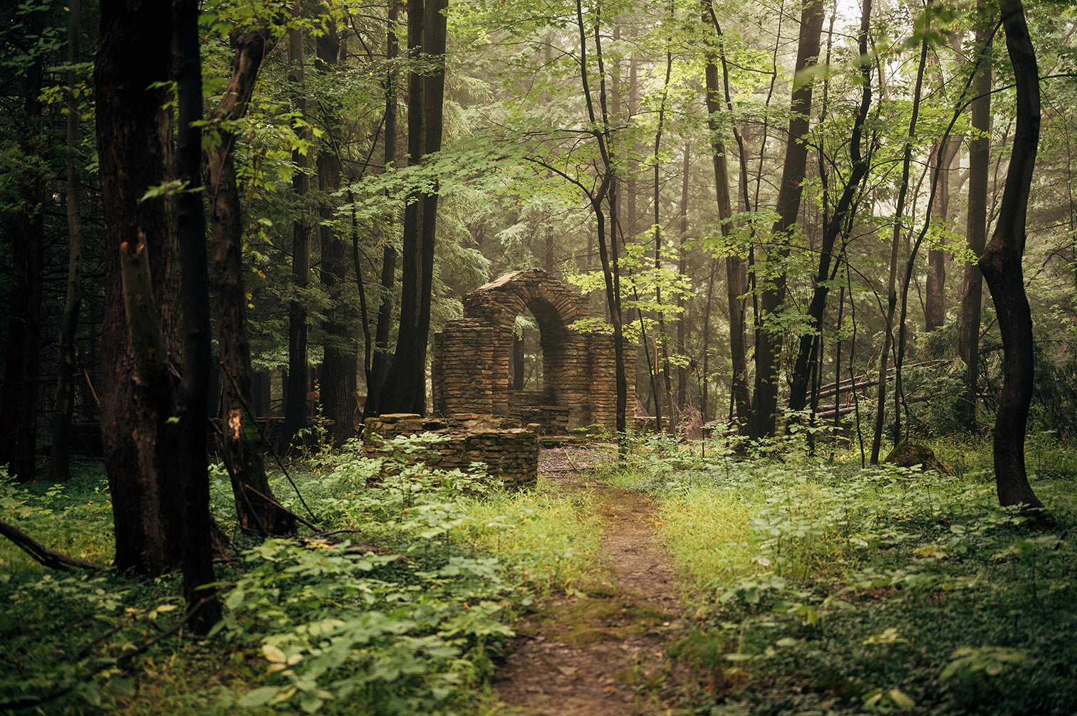 Sanctuary In The Fog